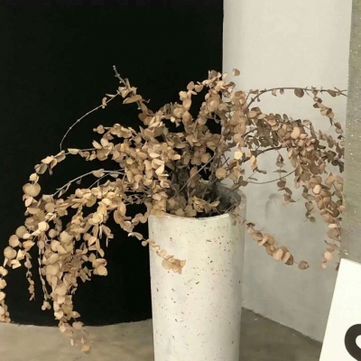 兽设黄昏场景设计福瑞交流群